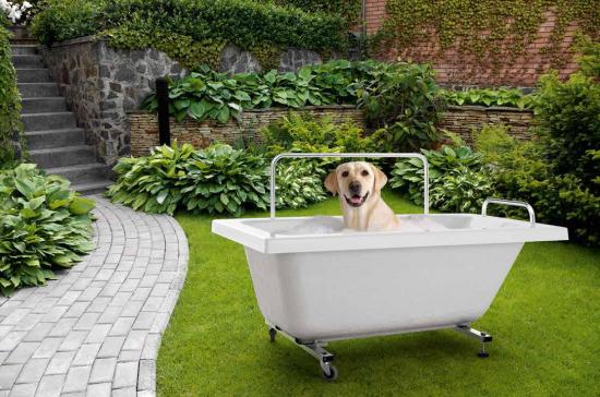 VASCA BAU 120X70 PER CANI LAVAGGIO ANIMALI ACCESSORIATA CON MANIGLIONI E RUOTE